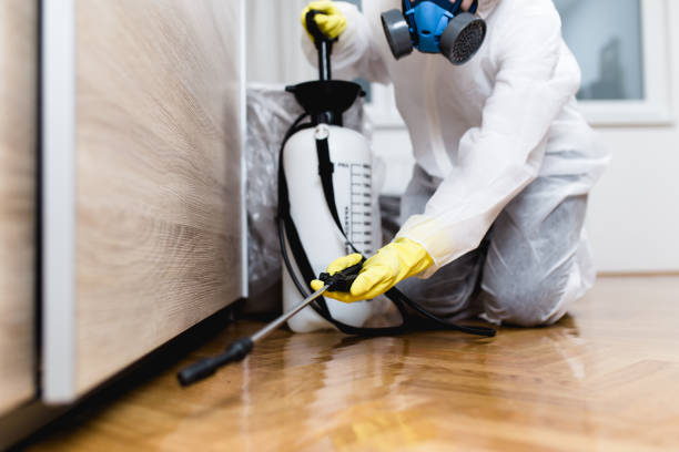 Best Termite Control Services  in Central City, KY