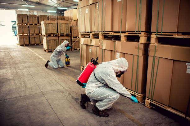 Best Residential Pest Control  in Central City, KY