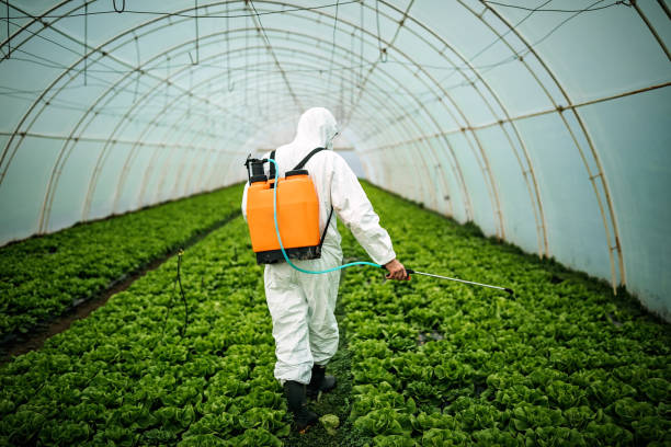 Best Mosquito Control Services  in Central City, KY