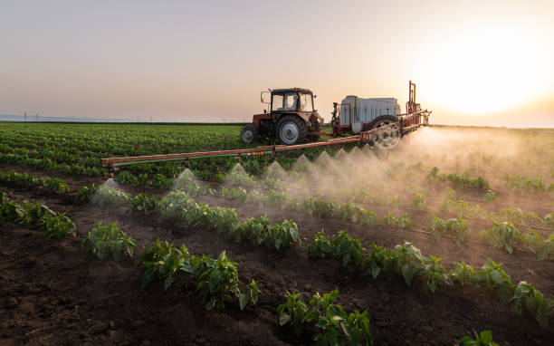 Best Mosquito Control Services  in Central City, KY