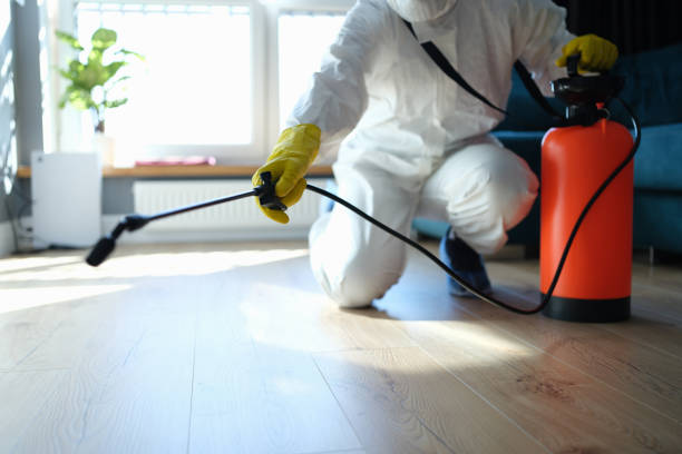 Best Affordable Pest Control Services  in Central City, KY
