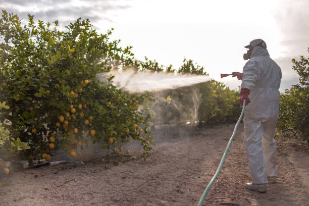 Best Commercial Pest Control Services  in Central City, KY