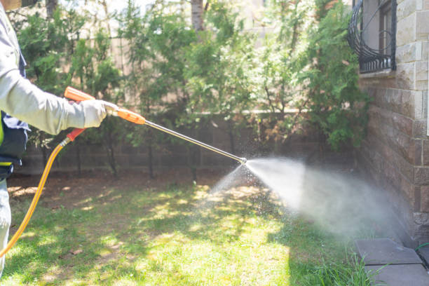 Best Termite Control Services  in Central City, KY