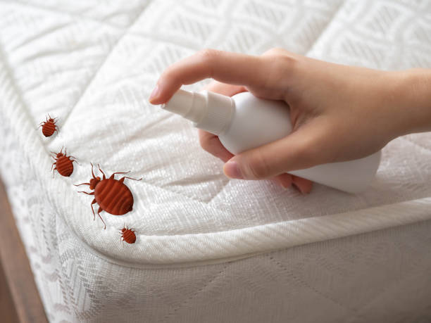 Central City, KY Pest Control Company