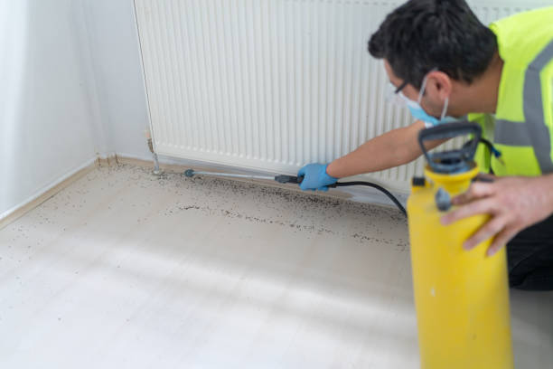 Best Bed Bug Extermination  in Central City, KY