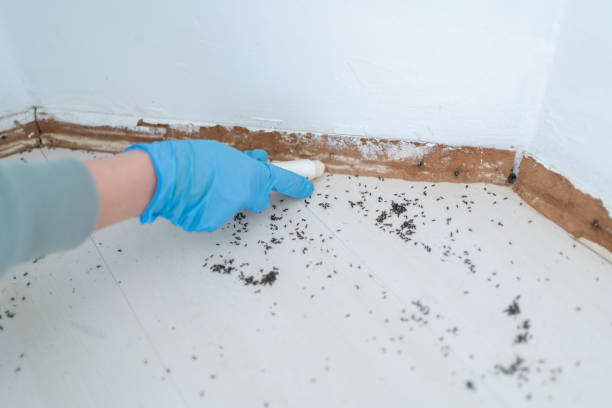 Best Pest Removal Services  in Central City, KY