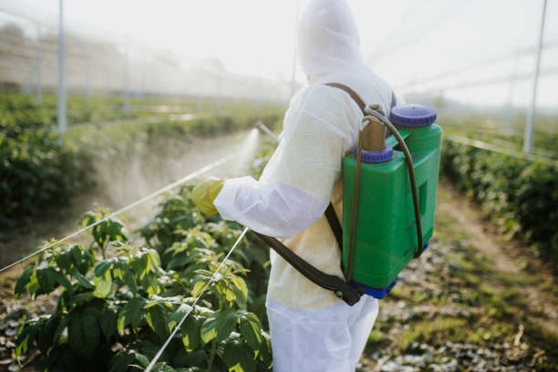 Best Commercial Pest Control Services  in Central City, KY